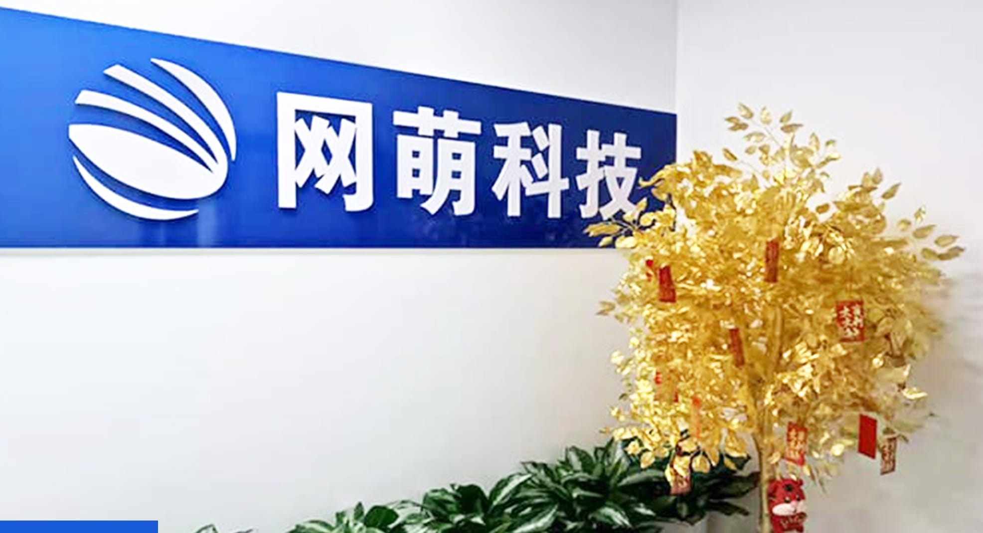 照片